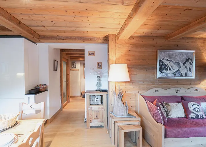 Apartment Spacieux A - 6 Pers - Wifi Et Parking - Fr-1-343-193 Chamonix